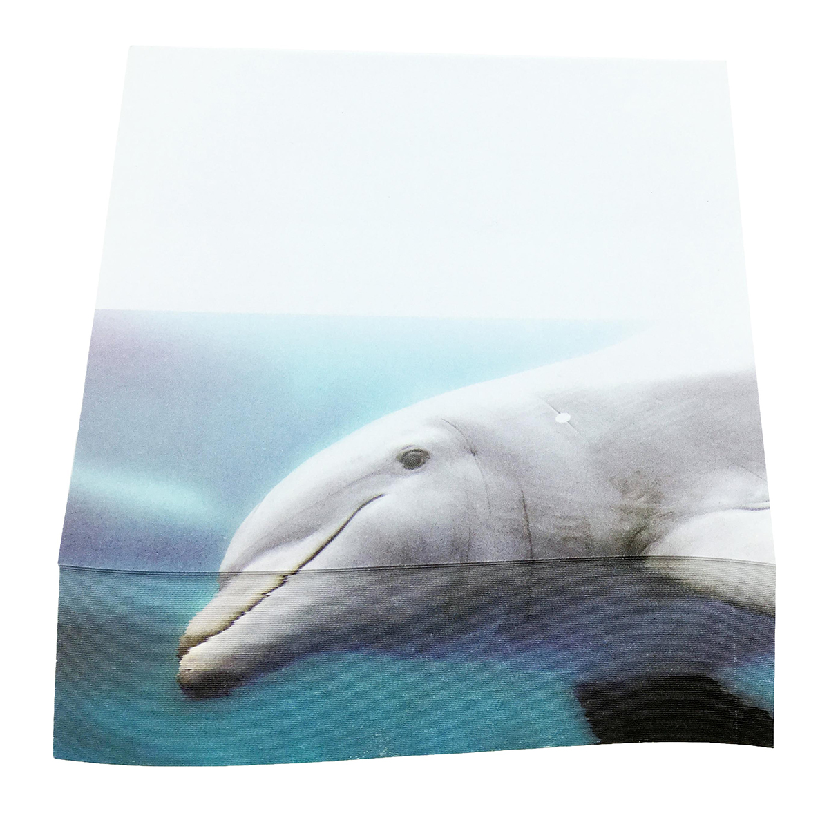 4A self-sticky notes, 3D printed with Risso's Dolphin, 95mm×105mm, 100 ...