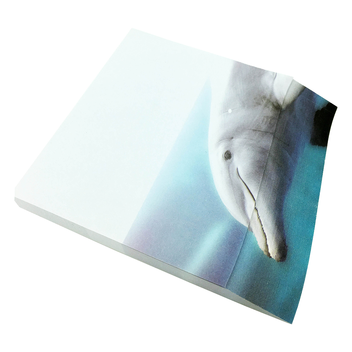4A self-sticky notes, 3D printed with Risso's Dolphin, 95mm×105mm, 100 ...